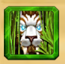 image34.png