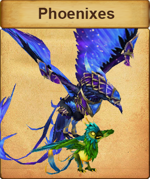 pet4.png